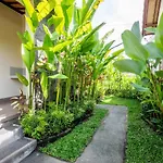 Sisin Ubud View