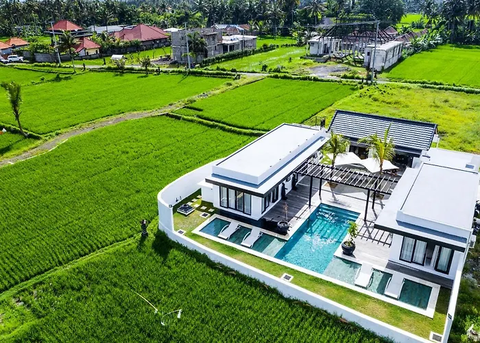 Amazing 3Br Villa In The Middle Of Ricefields