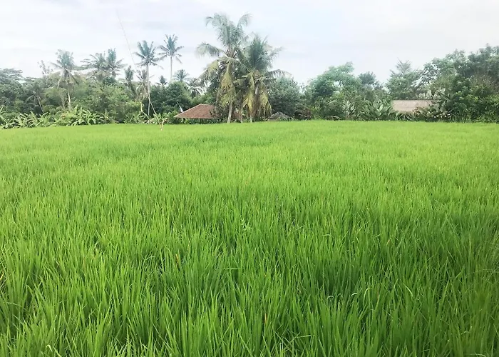 Lod Ubud Villa