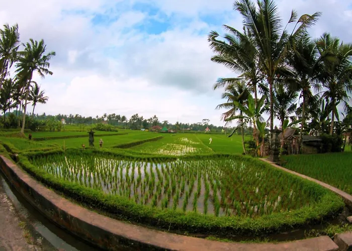 Vinarya Villa