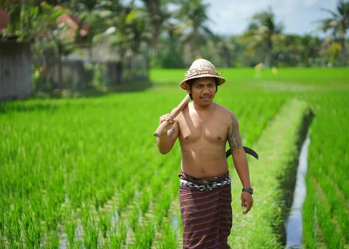 Villa Mandi Resort & Spa