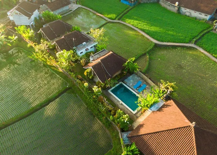Ubud Glassy Villa By Pramana Villas