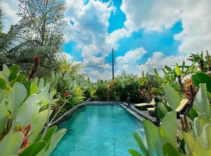 Paddy House Ubud