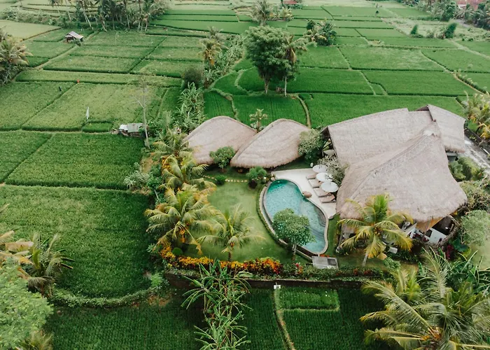 Villa Omah Padi Ubud