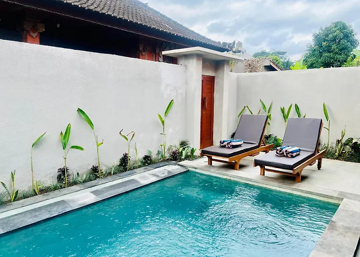 Dira House