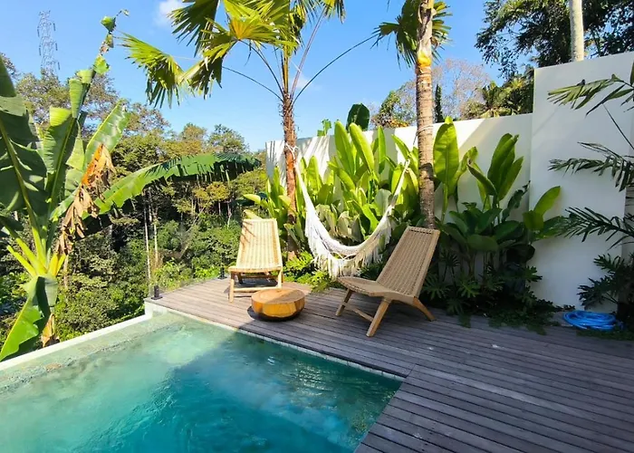 The Dream Villa