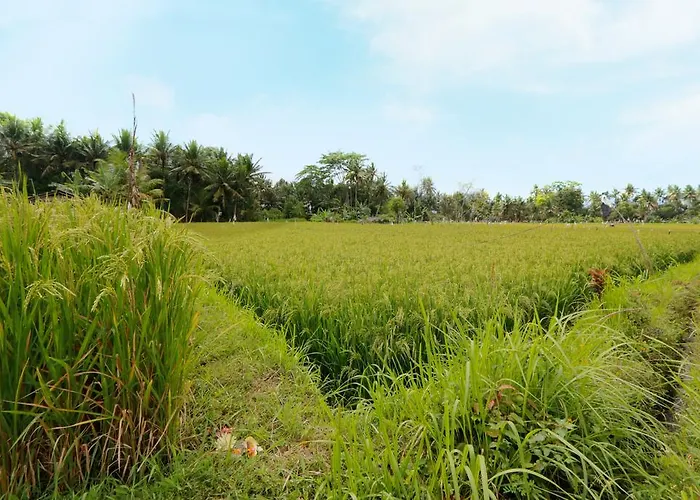 Thantha Ubud Villa