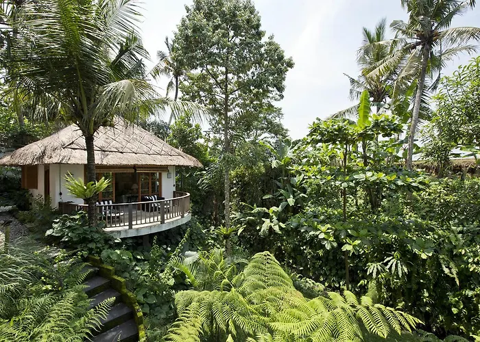 Villa Mambo