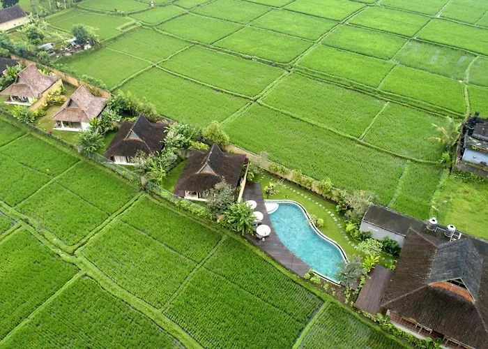 Kabinawa Ubud Villas By Pramana Villas
