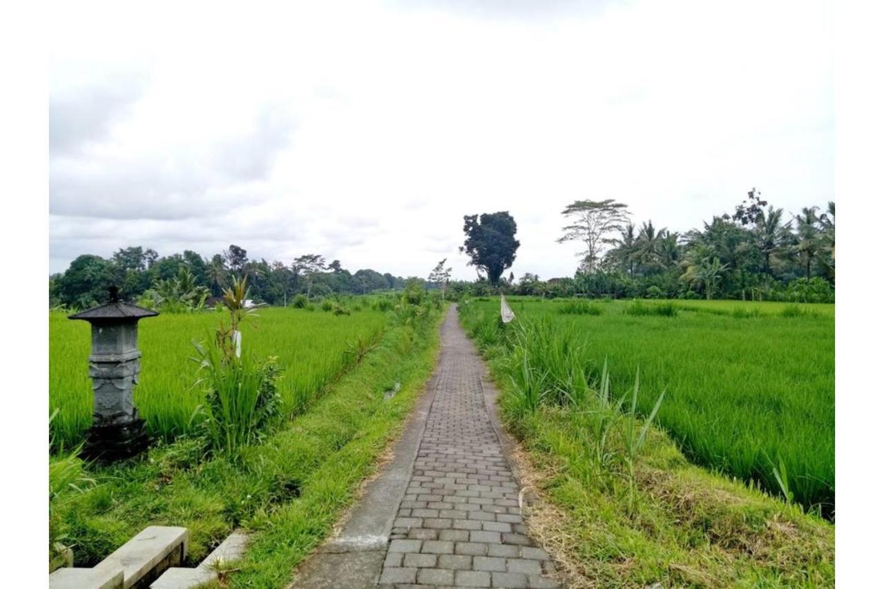 Lovely Sunrise 3 Bedroom Villa *