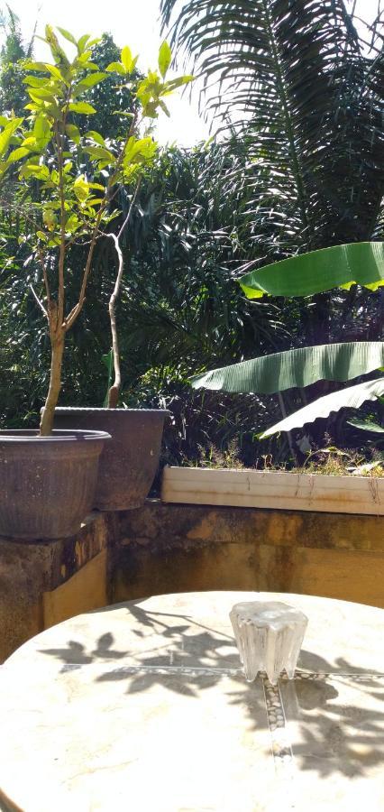 Suweta46 House Ubud