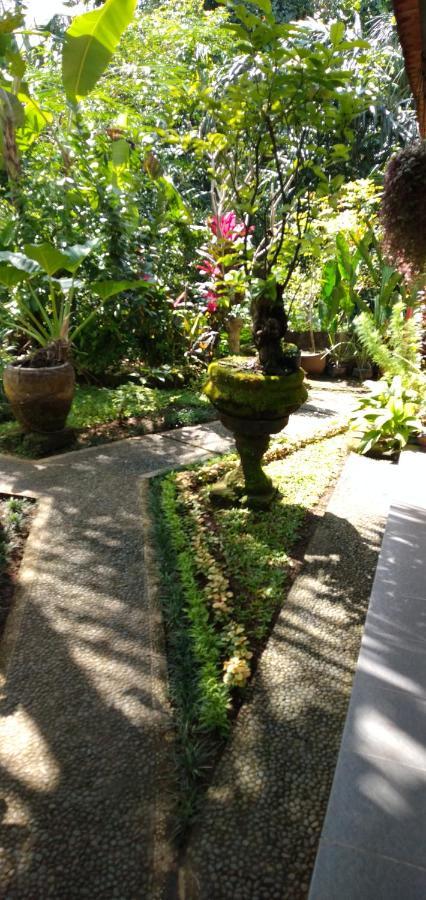 Suweta46 House