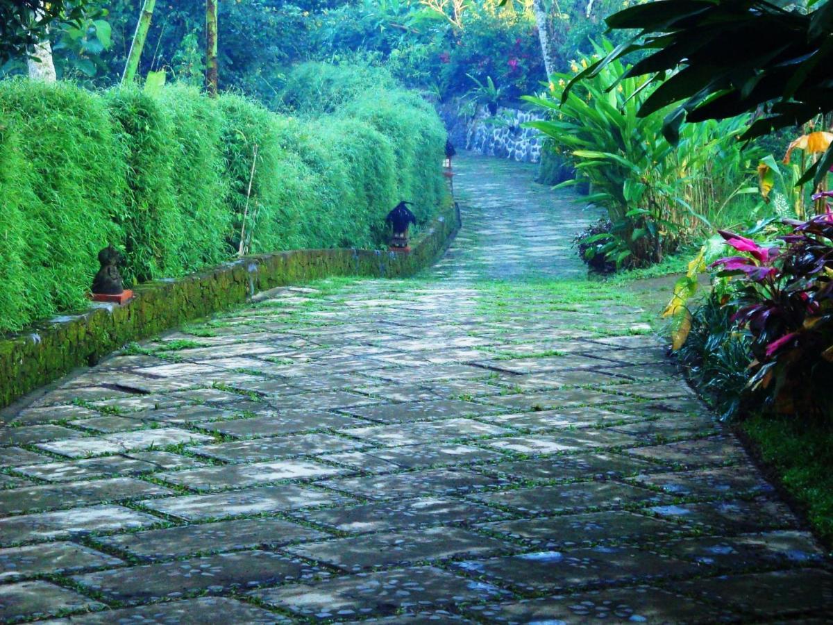 Santai
