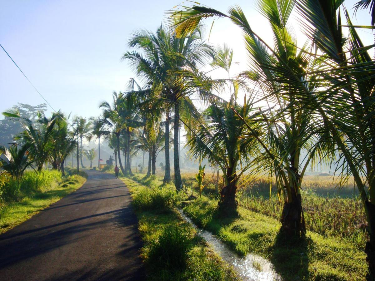 Santai Villa Ubud (Bali)