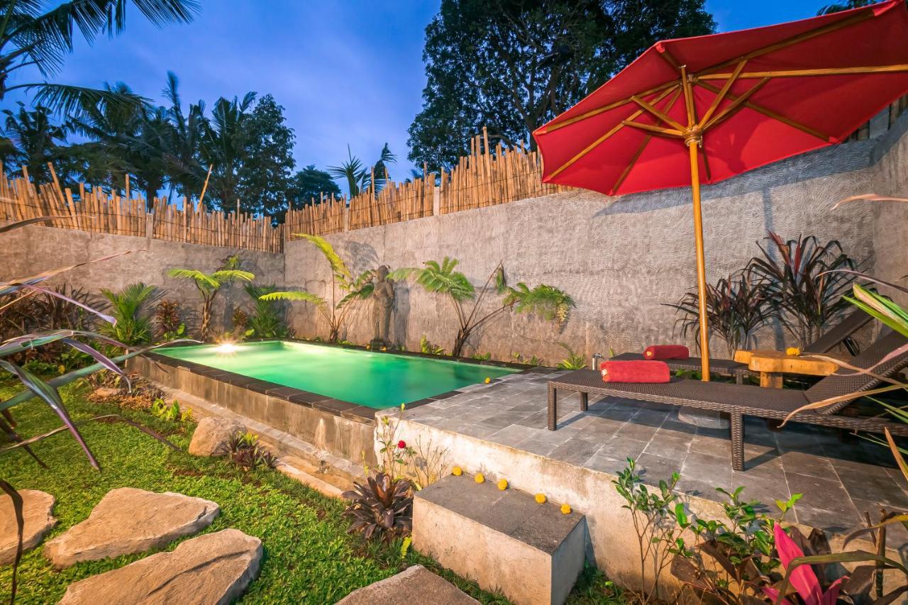 The Forest Batu Kurung * Ubud (Bali)