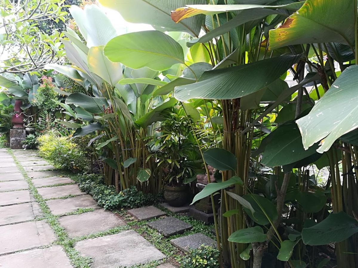 Inn Shiva House