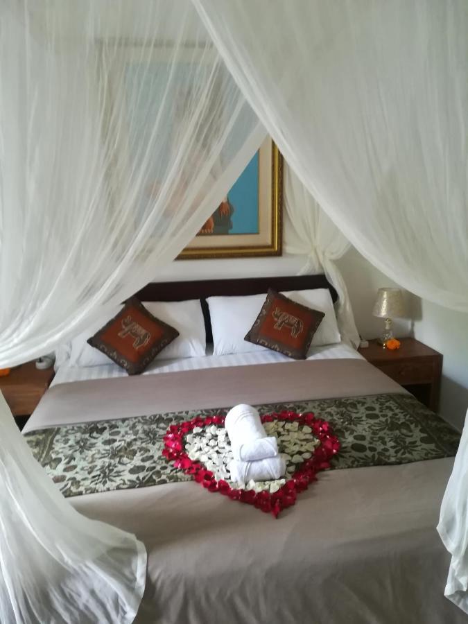 Shiva House 3*