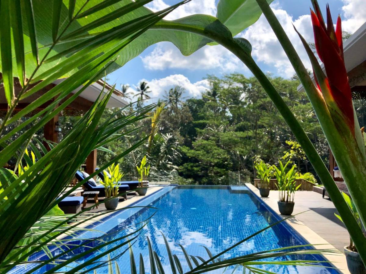 Puri Kasih Gottlieb Hotel Ubud
