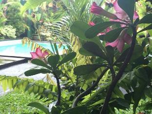 Guest house Secret Garden Sky *