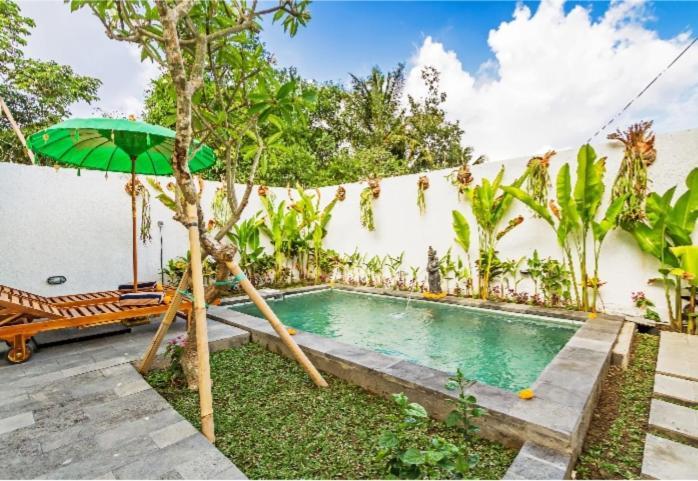 Umah Pink Guest house