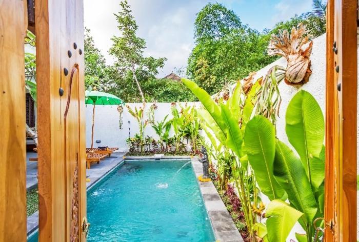 Guest house Umah Pink Ubud (Bali)