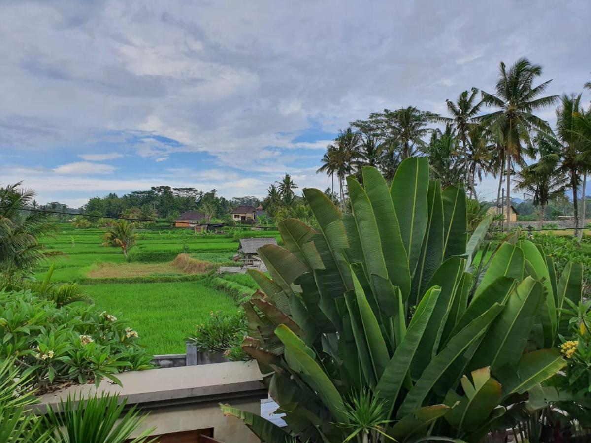 Amanda Ubud (Bali)