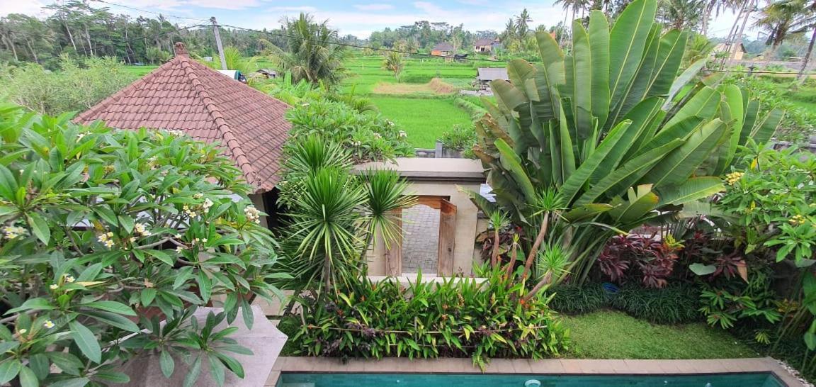 Villa Amanda Ubud (Bali)