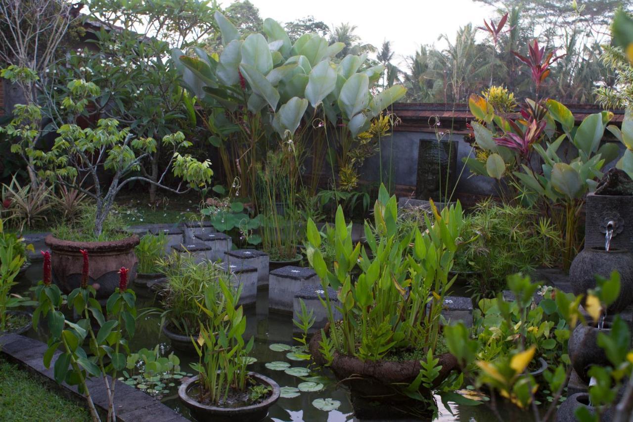 Bed & Breakfast Rumah Sungai Ubud (Bali)