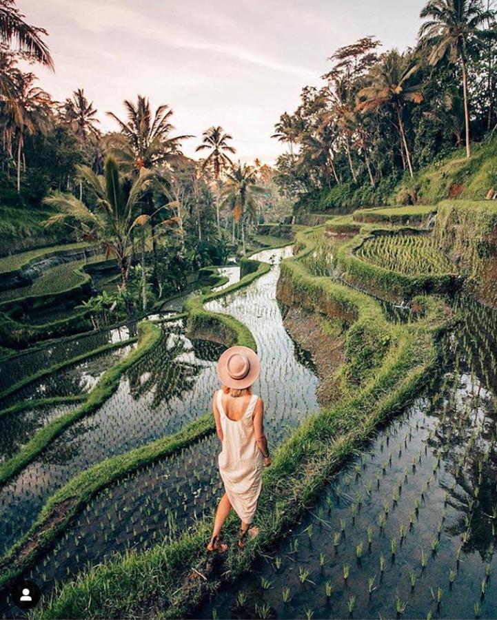 De Dauh * Ubud (Bali)