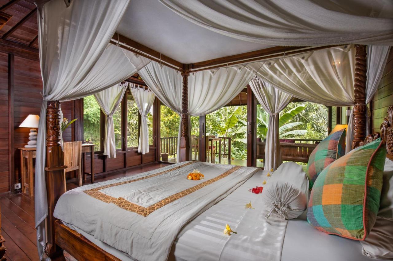 Bed & Breakfast Secluded Jungle