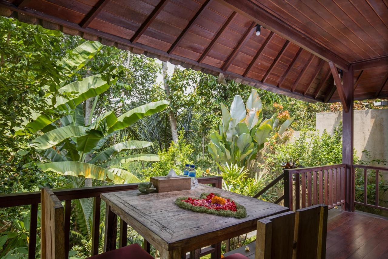 Secluded Jungle Bed & Breakfast