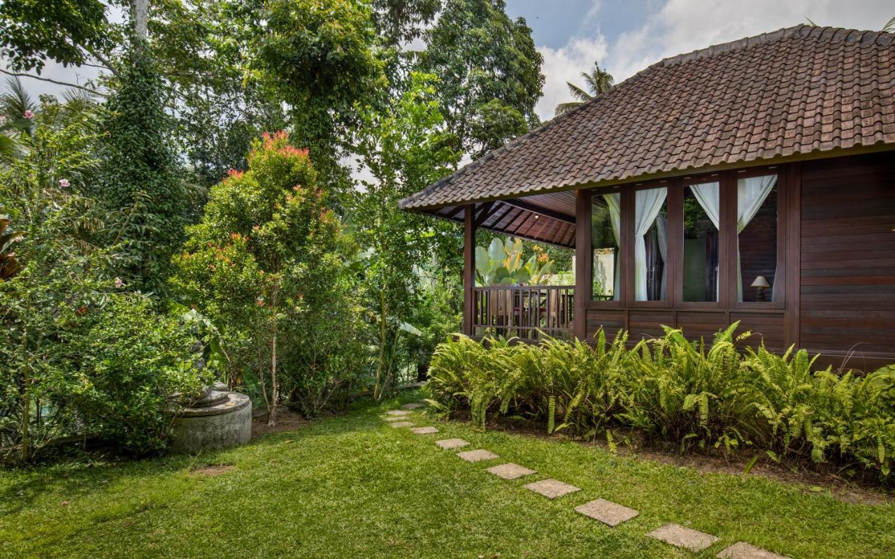 Bed & Breakfast Secluded Jungle