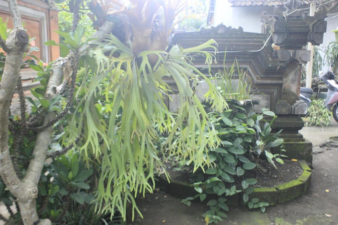 Homestay Umah De Arlika Ubud (Bali)