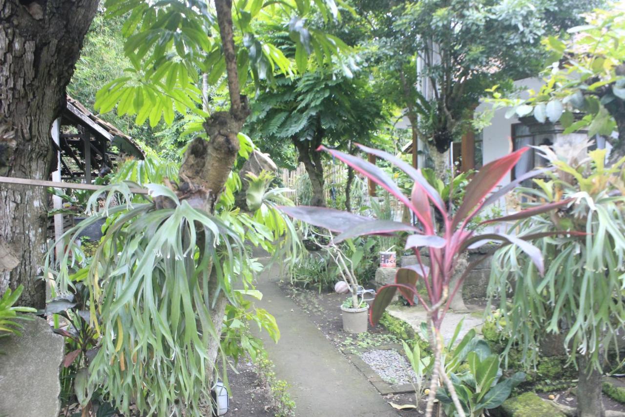Umah De Arlika Homestay *