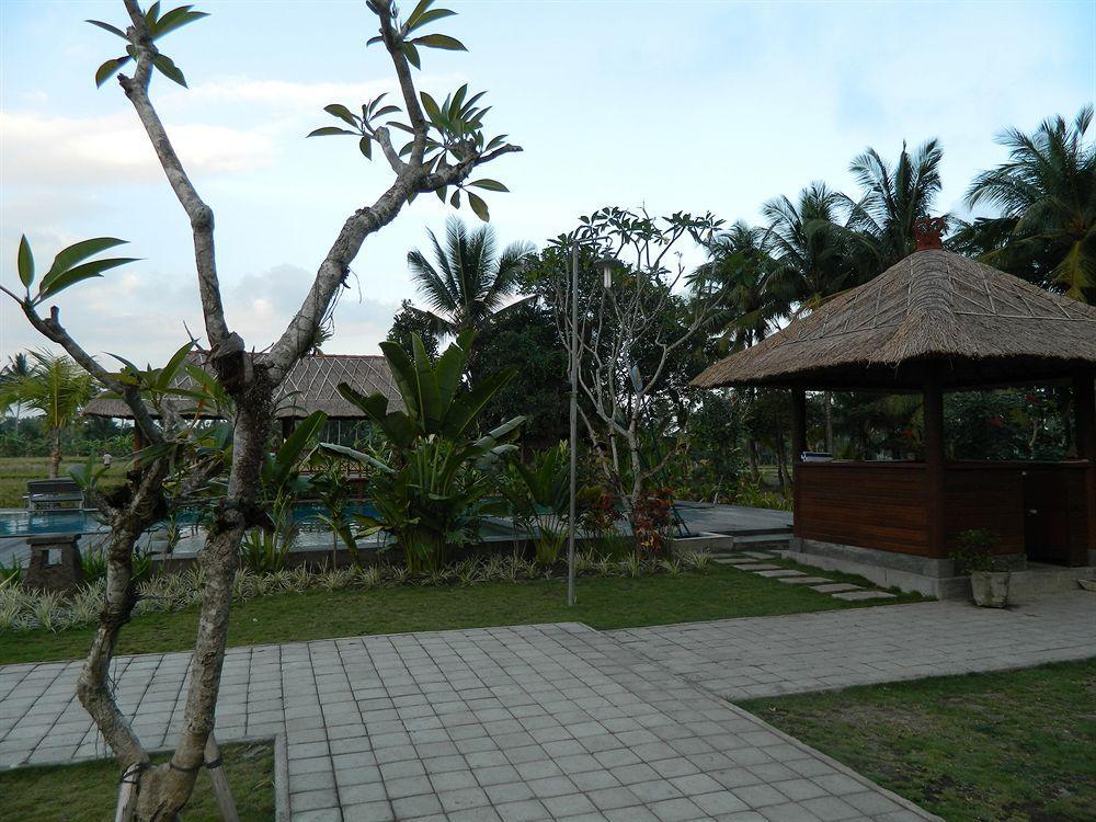 Suly Vegetarian & Hotel