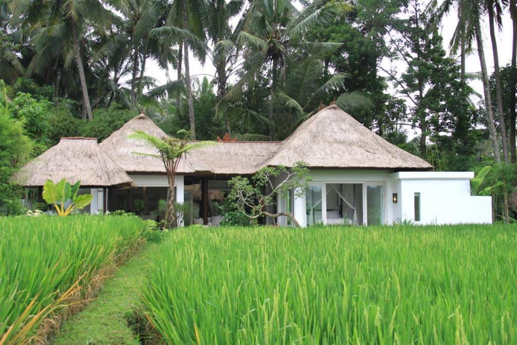 Holiday home River Moon Ubud (Bali)