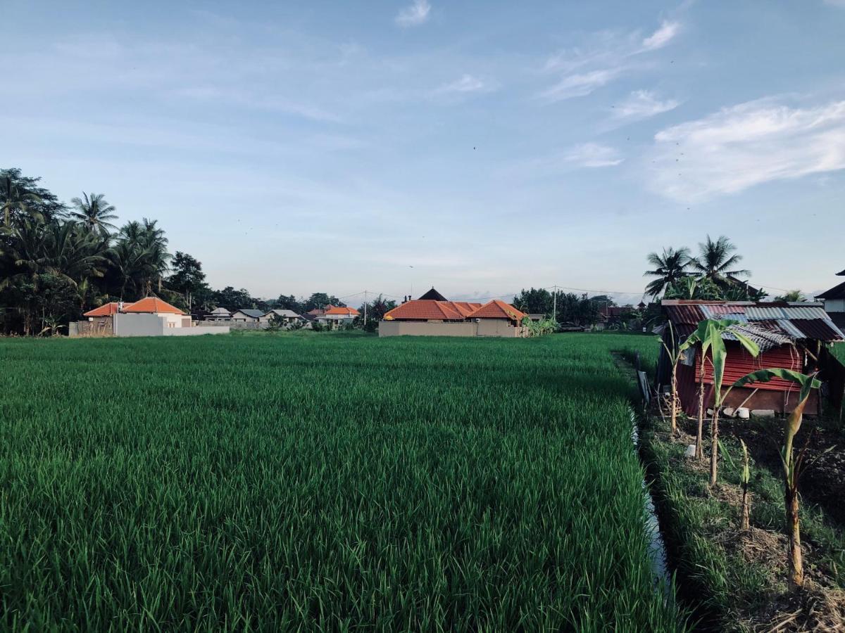 Umagama * Ubud (Bali)