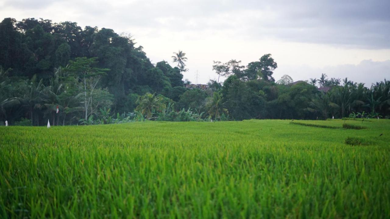 Villa D'alas By Omkara Experience Ubud (Bali)