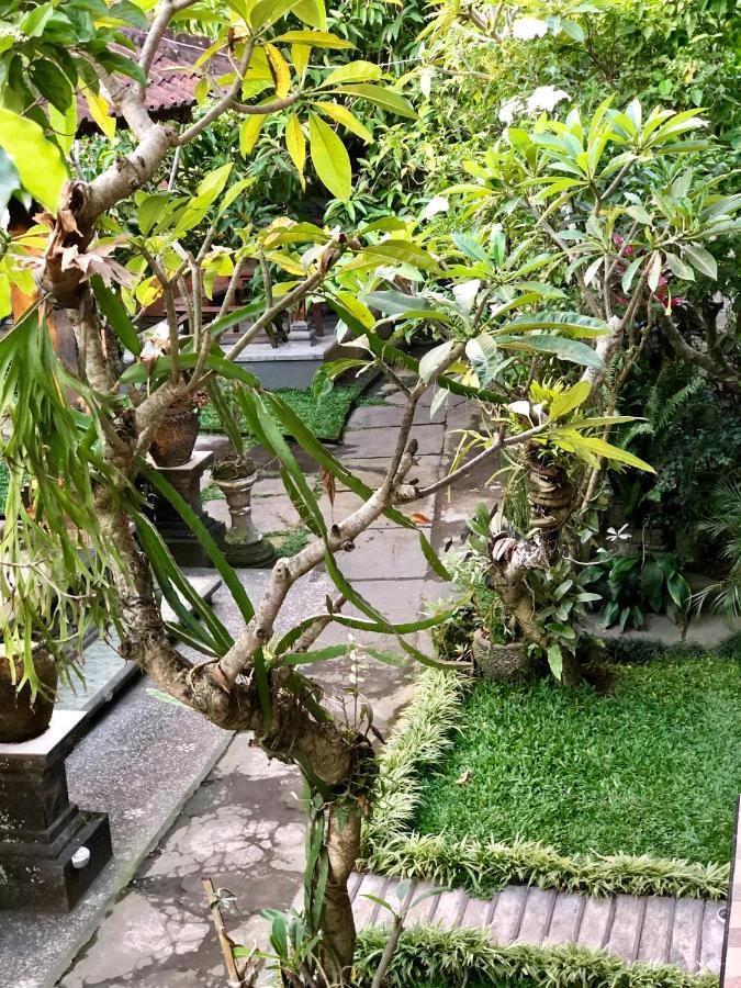 The Hidden Bali 3*