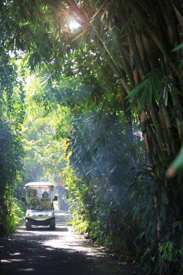 Artist Village By Pramana Watu Kurung 2* Ubud (Bali)