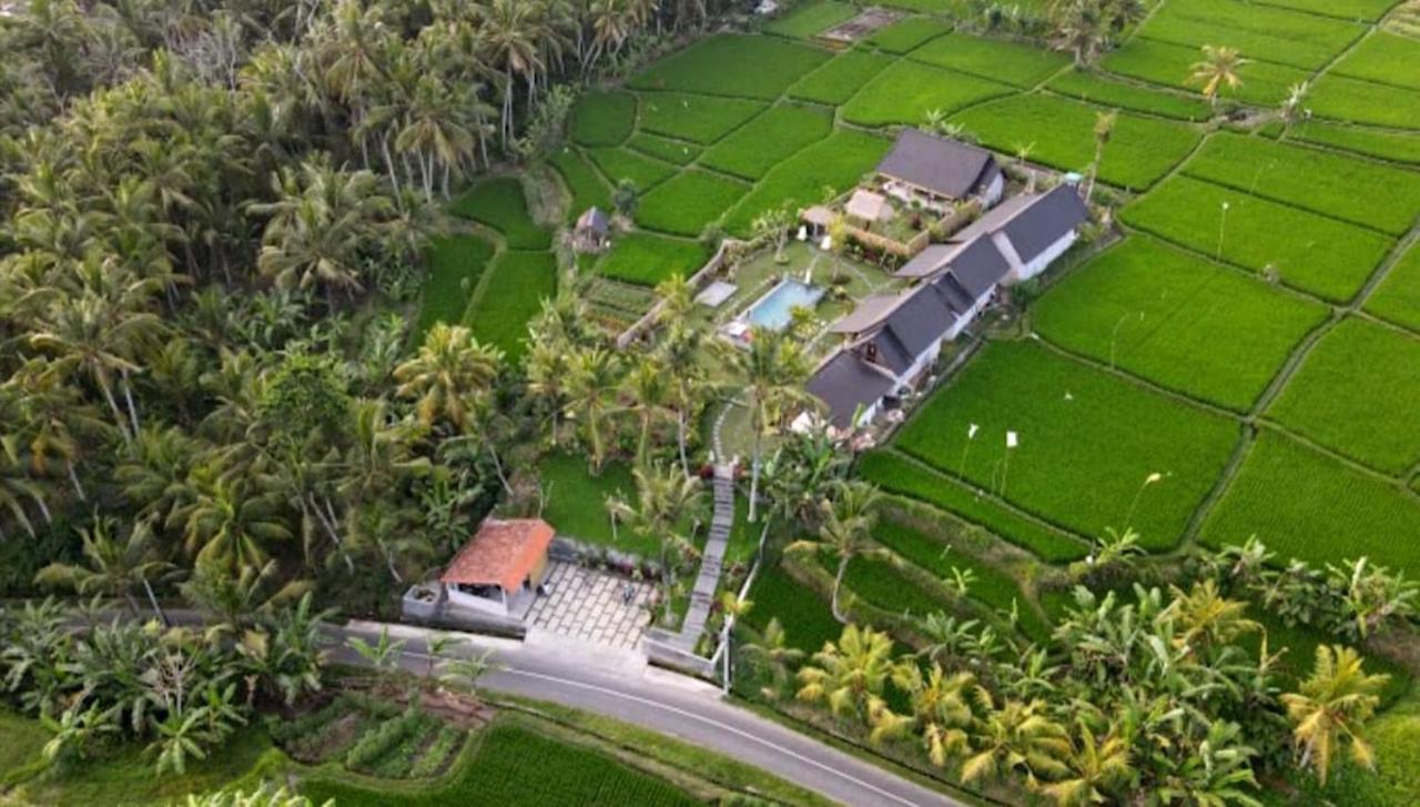 Coconut * Ubud