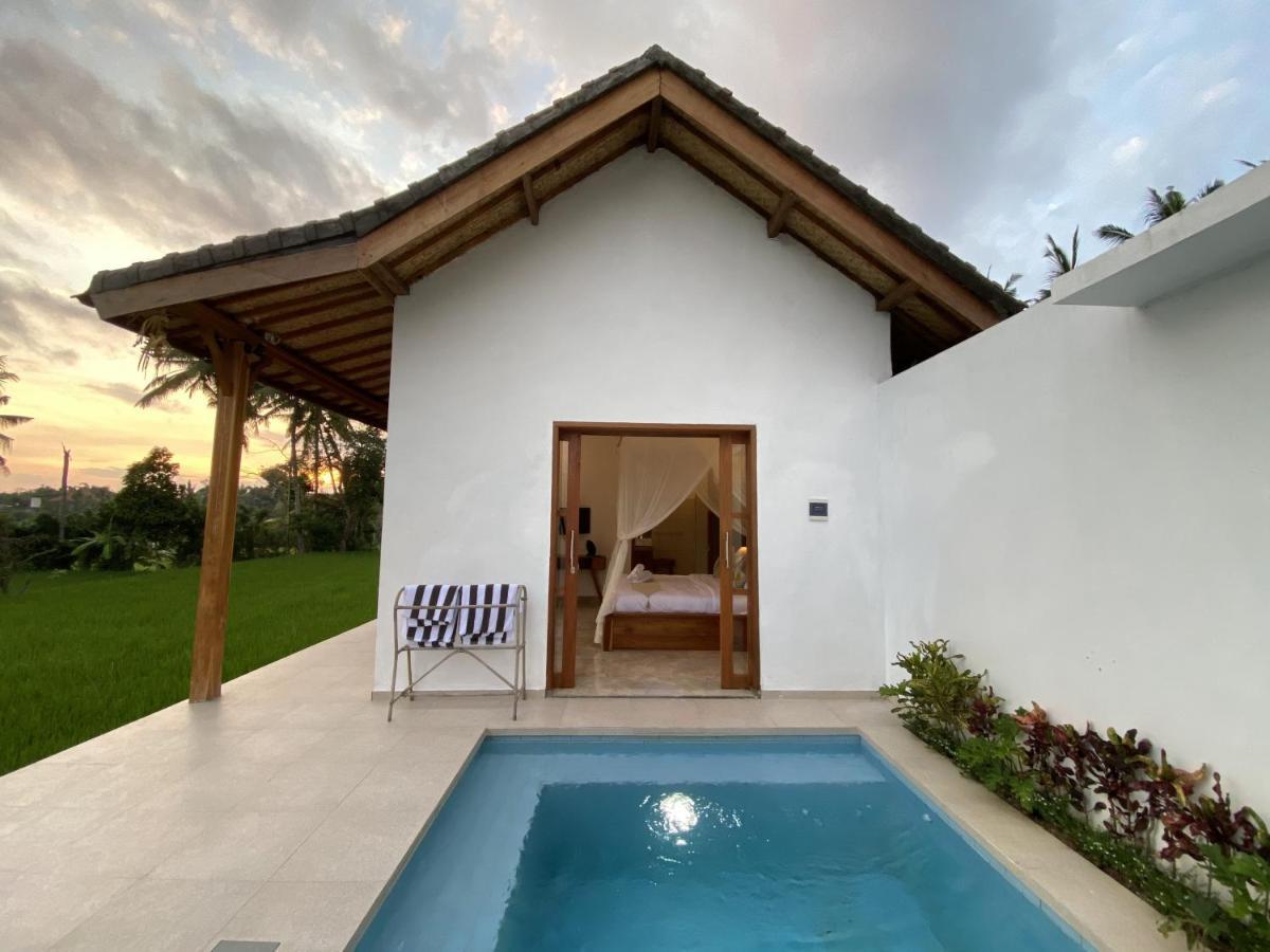 Villa Luxury Ada Padi One Bed Ubud (Bali)