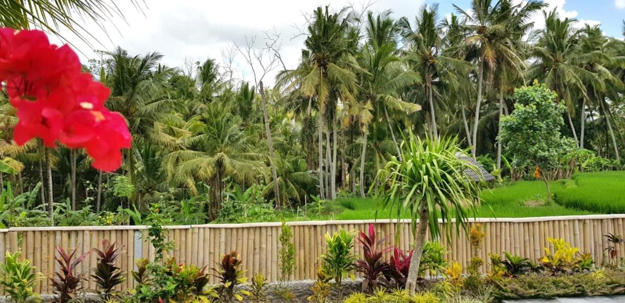 Gasthof Coconut Ubud