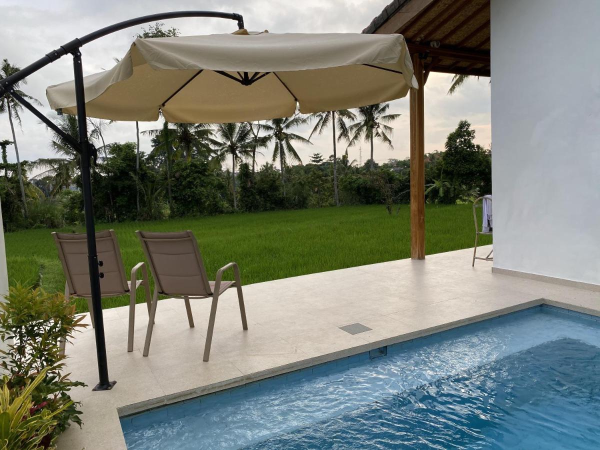 Luxury Ada Padi One Bed