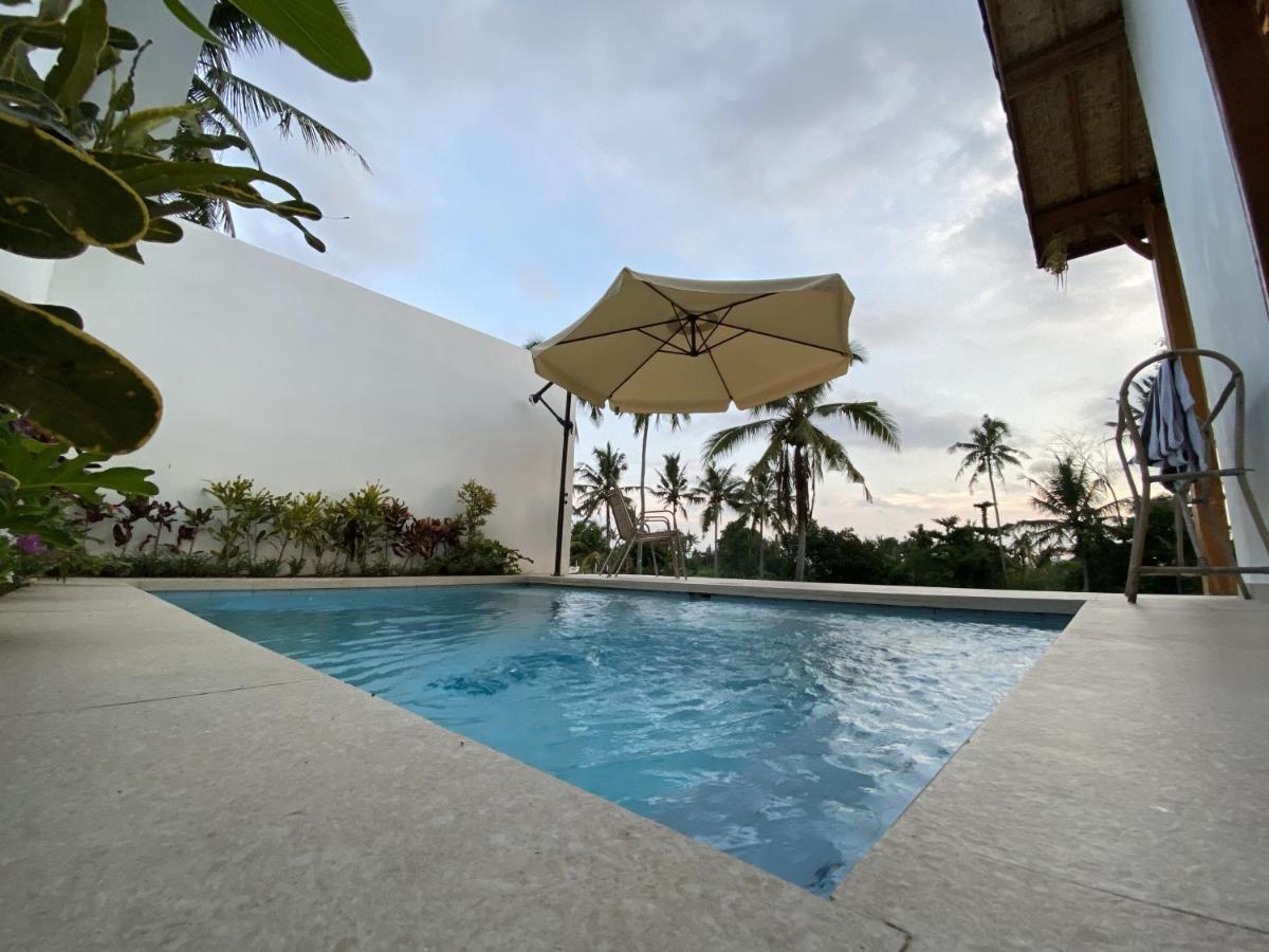 Luxury Ada Padi One Bed Villa Ubud (Bali)