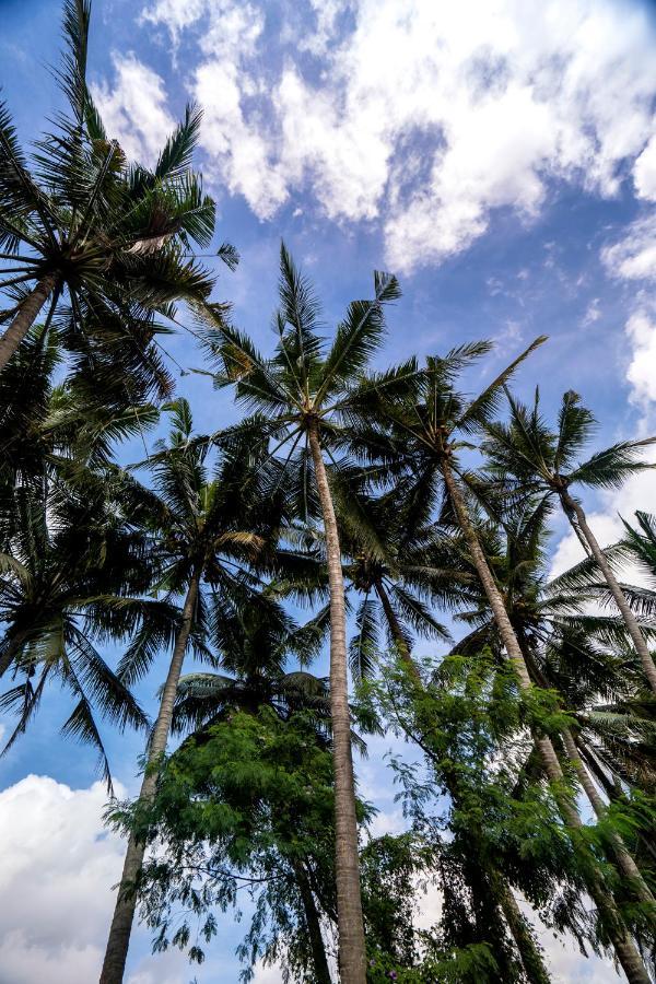 Bora Bora By Balisuperhost Villa Ubud (Bali)