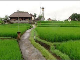 Ketekung * Ubud (Bali)