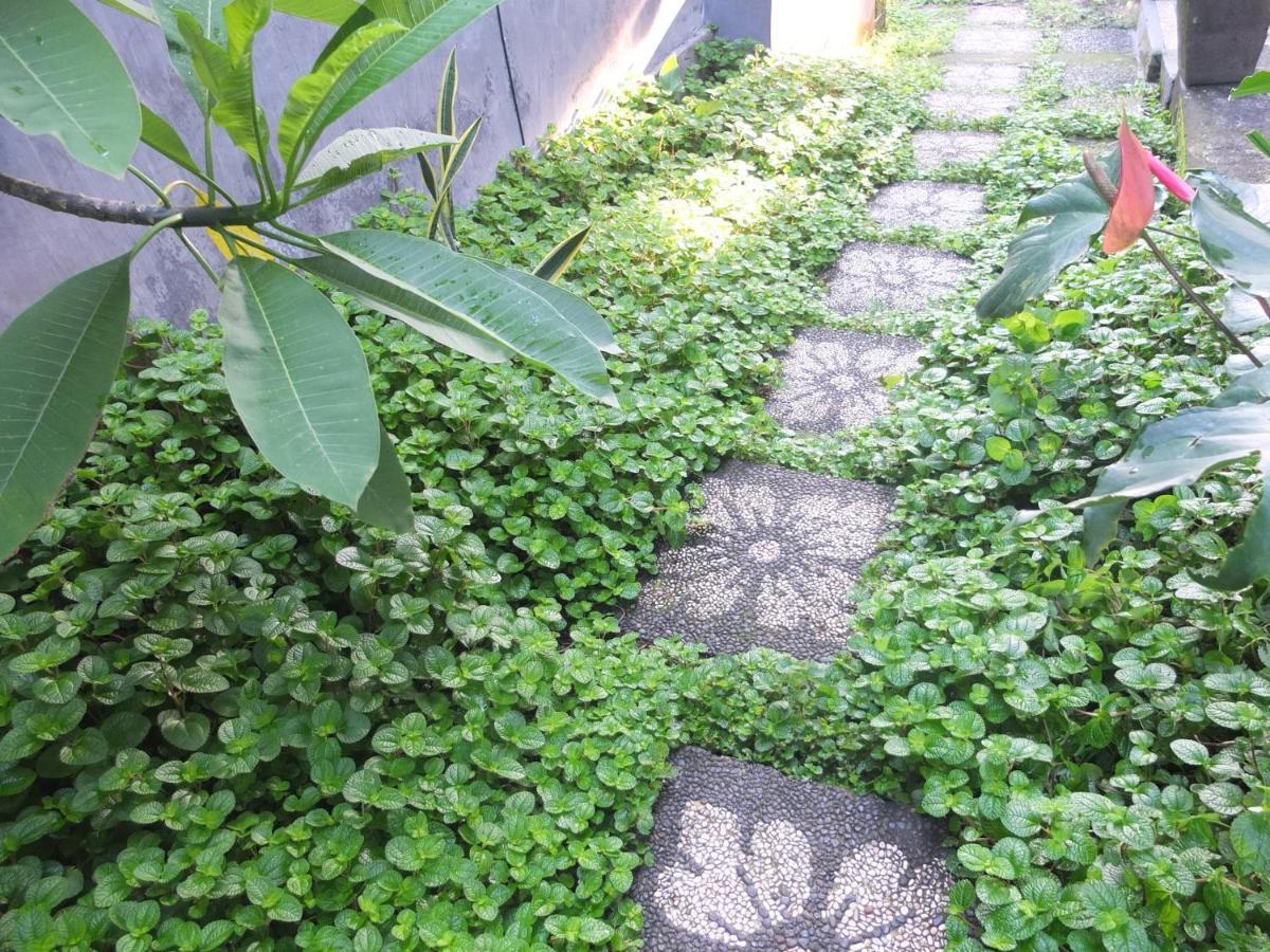 Ojek's * Ubud