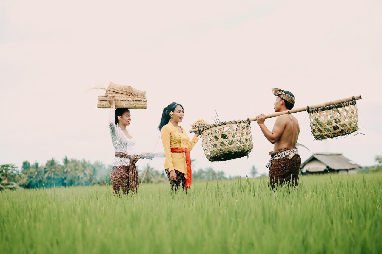 Candy By Pramana *