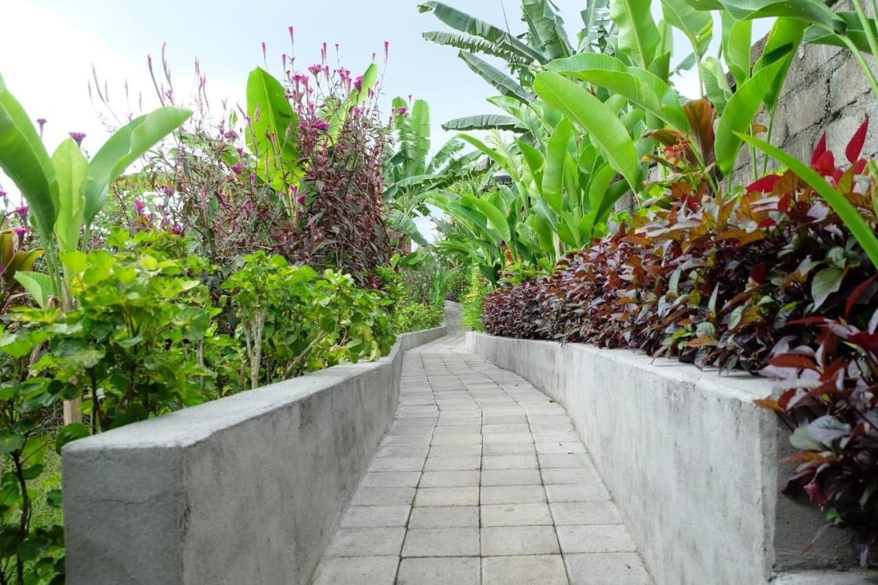 Rendira 2 Villa *